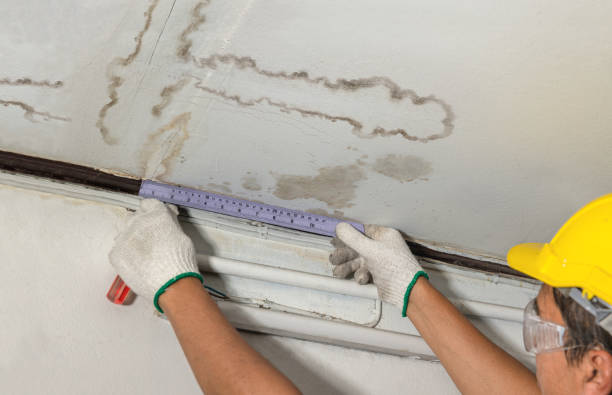 Affordable Water Damage Repair solutions in Rural Hall, NC